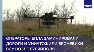Операторы БПЛА заминировали дороги и уничтожили броневики ВСУ возле Гуляйполя