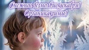 Снежное безмолвие декабря!  Органика зимы! Премьера трека!