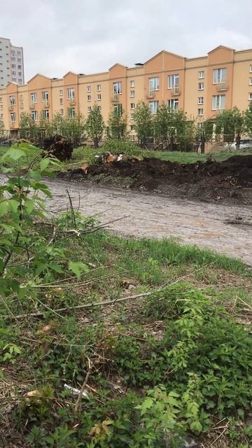 Начало строительства дороги улицы Марковцева от бульвара строителей до Волгоградской смотреть онлайн