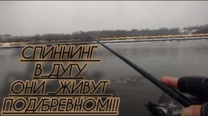 ОНИ ЖИВУТ ПОД БРЕВНОМ/РЫБАЛКА ПРЕСЛЕДУЮ ХИЩНИКА!