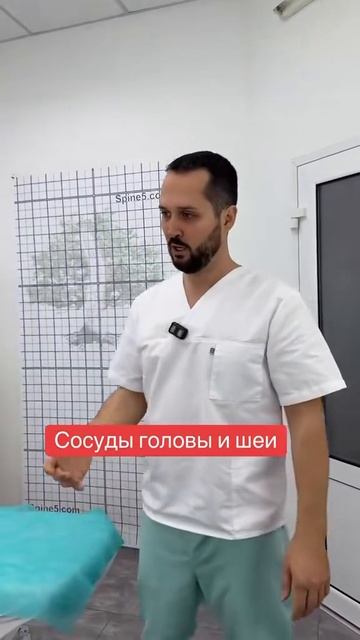 Сосуды головы и шеи