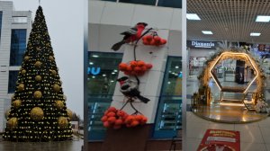 17.12.2025 г ТМК «ГРИНН» Орел/ Товары для дома от Kuchenland Home