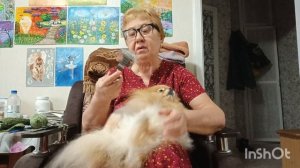 Про любовь к животным