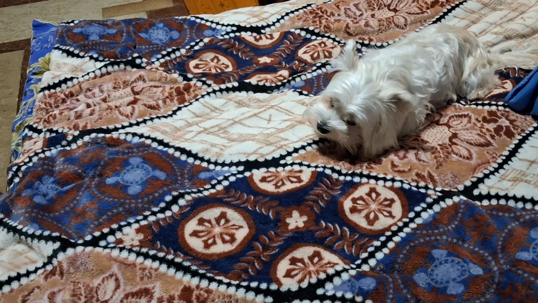 Не мешайте ребёнку.... смотреть онлайн