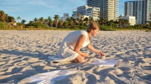 «Верный круг». Майами 2024. Видеодокументация Перформанса.