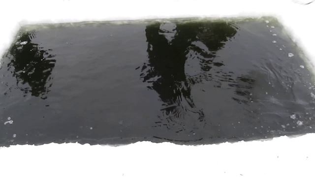 Мартовские работы на водоёме