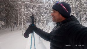 Одиночный поход на лыжах. Зимняя Сказка в лесу 2025 год. погода -20 градусов