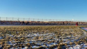 б/о Ирендорф ЗУРБАГАН им №24. САНКТ-ПЕТЕРБУРГ 12 декабря`25 Моно немецких овчарок