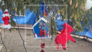 🎄 Новогодняя красавица в Макеевке