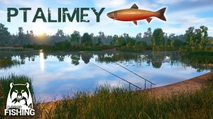 Рыбка Live: спиннинговая лихорадка на Белой реке🐟Русская рыбалка 4🐬Russian Fishing 4