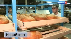 Новый сорт