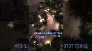 танцуй если знаешь этот тренд🧸💗✨🍄🌷🌴😽