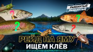 ЛАКШЕРИ БУТЕР НА ЯМЕ ● И просто ФАРМ ● Русская Рыбалка 4