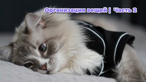 Организация хранения вещей | Часть 2