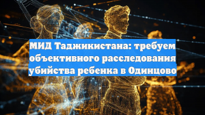 Таджикистан призвал РФ тщательно расследовать убийство школьника в Одинцове