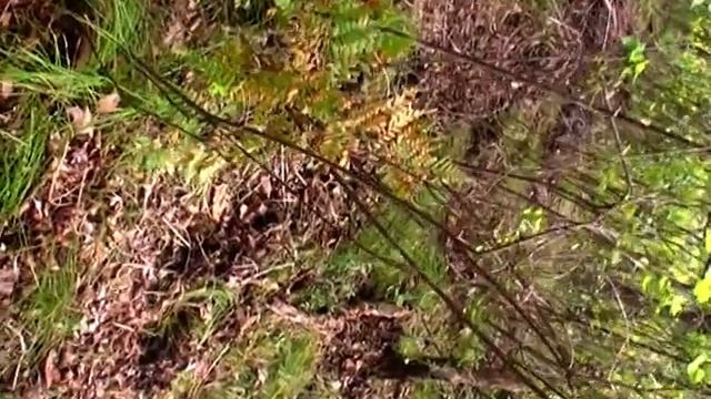 2009.09.10 Владивосток, Находка, ч.39