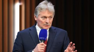 Песков: Путин детально изучает обращения россиян