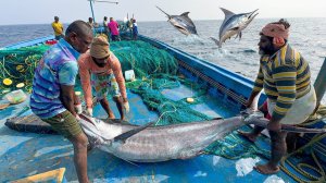 Десять день мы провели в открытом море и поймали много крупной рыбы