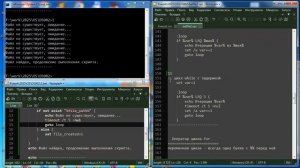 os005 Основы Bat: управляющие операторы