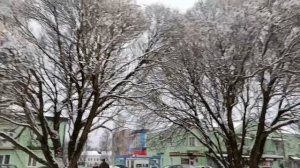#зимняя сказка у нас в городе