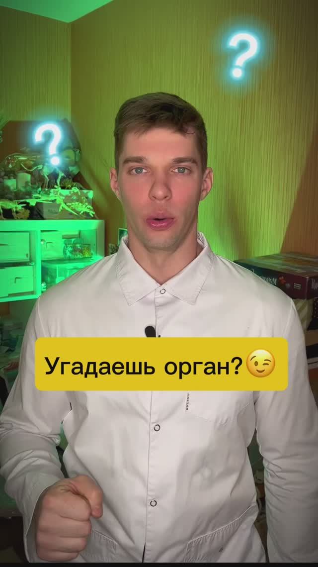 Это твой удивительный орган смотреть онлайн
