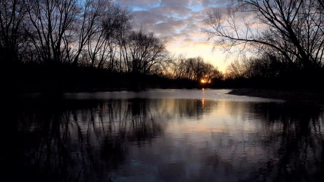 🎶 ЖИЗНЬ ПРОДОЛЖАЕТСЯ.