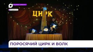 Старую сказку о трёх поросятах на новый лад покажут в Приморском театре кукол