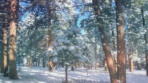 "Зимнее". Стихи, клип Людмилы Ураевой. Музыка, гитара, поёт Константин Куклин