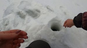 На рыбалку с сыном/Рыбалка на Жерлицы