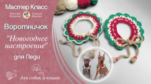 Воротничок "Новогоднее настроение" для леди крючком, для собак и кошек.