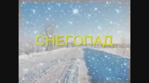 "СНЕГОПАД"   Шувалова Светлана