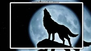 Сучья долюшка