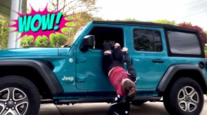 "СМЕШНЫЕ ВИДЕО: ПРИКОЛЫ, КОТОРЫЕ НЕЛЬЗЯ ПРОПУСТИТЬ"