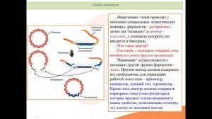 Видео-встреча по биологии 17.12.2025