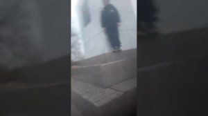 мой друк залес куда попала