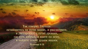 Общее собрание 14.12.2025