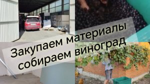 #14/Собрали виноград /начали закупку гипсухи