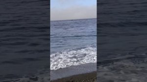 Огромные стаи уток. Пляж Сукко 17 Декабря 2025 года. Репортаж Светланы Тихоновы.