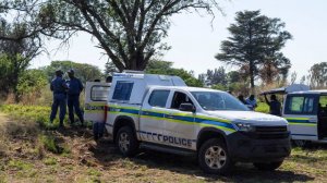 Обезглавленный разложившийся труп нашли в лесу