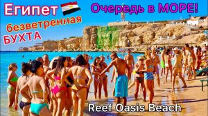 Райский ПЛЯЖ в Египте Совсем НЕТ ВЕТРА! Море РЫБОК Отель Reef Oasis Beach 4* Курорт Шарм эль Шейх