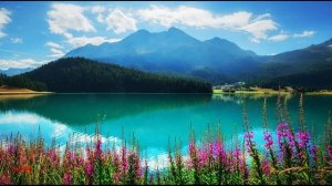 Наталья и Виталий Сколовы - Смотри какая красота (Авт.ролика Виктор)