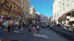 🏰 Императорская Вена 2025: собор, дворец Хофбург и Бельведер – тур! 🌟