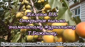 Железов В.К. Открытое письмо знаменитому журналисту Т.Баженову.