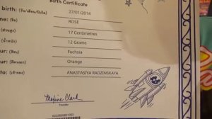 ВЛОГ создали нового питомца Розочка и покупаем платья принцессы и наряды [get.gt]