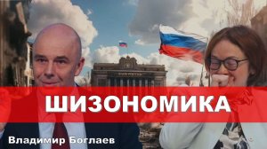Владимир Боглаев: Шизономика: Когда головы договорятся?