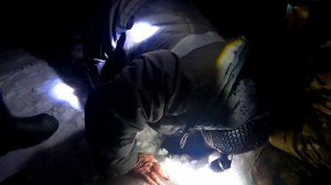 Гигантский судак /То ли судак монстр, то ли подруга 🤣🤣🤣🤣