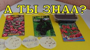 Эти ОВОЩИ и ЯГОДЫ сеем в ДЕКАБРЕ☝☝☝