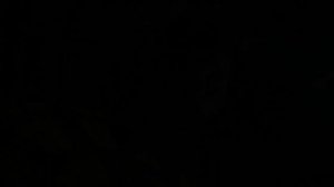 Маятник. © Copyright: Евгений Щербакоф, 2008 Свидетельство о публикации №108012301205