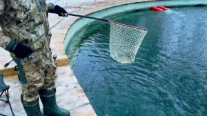 запуск в лесной