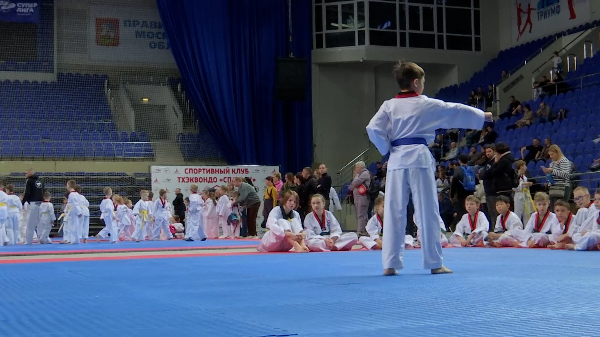 Аттестация на цветные пояса тхэквондо смотреть онлайн